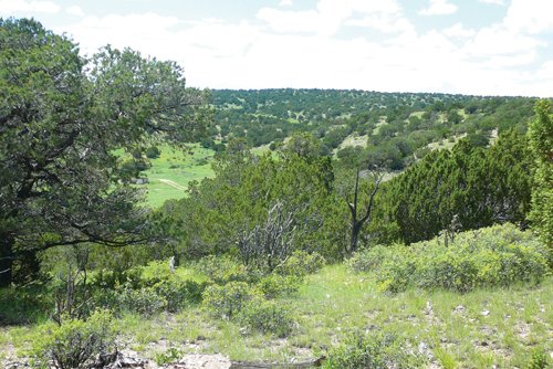 Property photo 38 - 7,320 Acres Offered in 5 Tracts